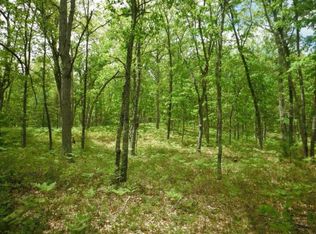 92 E Ten Mile Rd, Irons, MI 49644