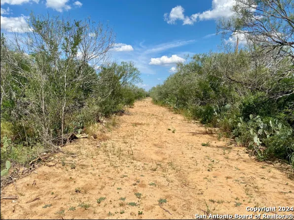 0 Buddy's Lane LOT 5, Carrizo Springs, TX 78834