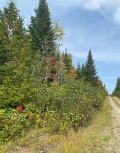 Lot 82.3 Stockholm Road, Caribou, ME, 04736