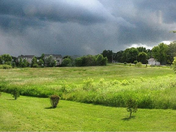 View out the back door