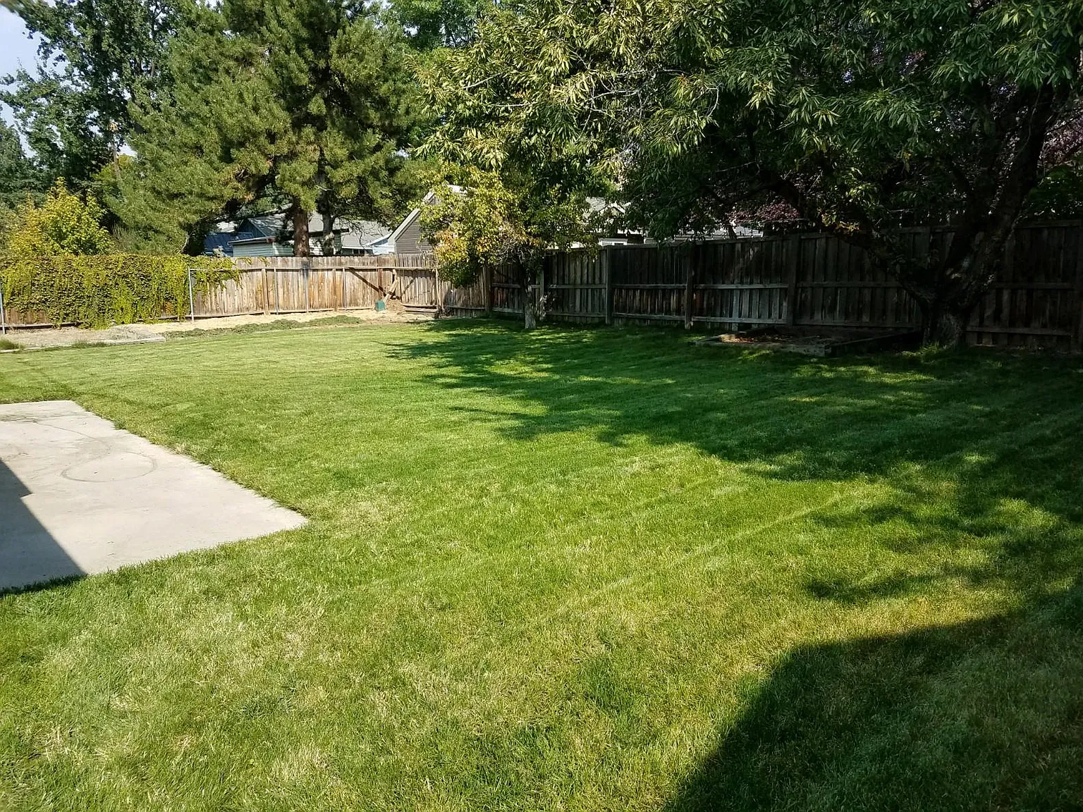 3 bed, 1900 sqft, $2,650 — Photo 3