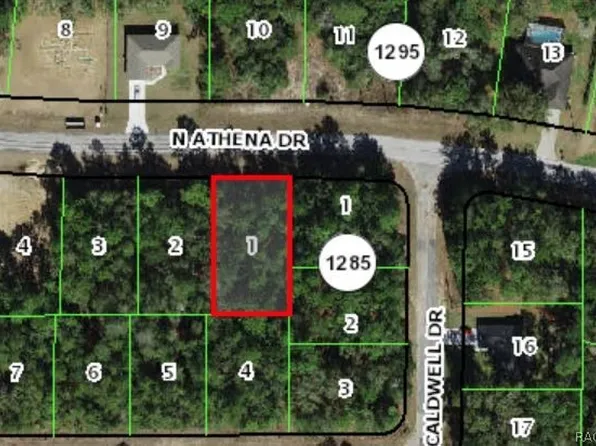 10040 N Athenia Dr, Citrus Springs, FL 34434