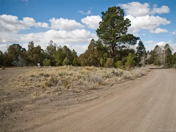 1560 Antelope Way, Crestone, CO 81131