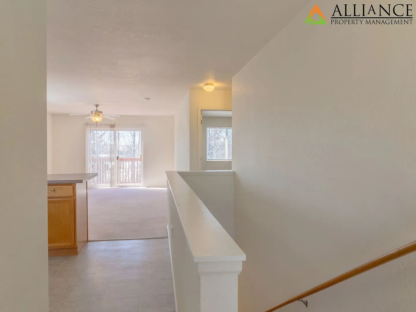 Walkout Basement — Photo 3