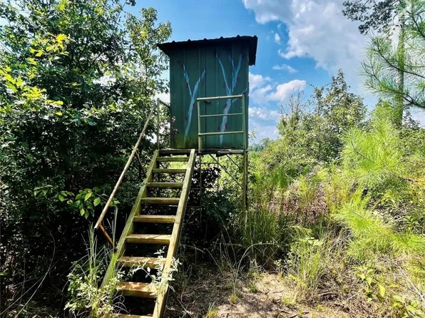 9 Nine Bridges Rd, Corrigan, TX 75939