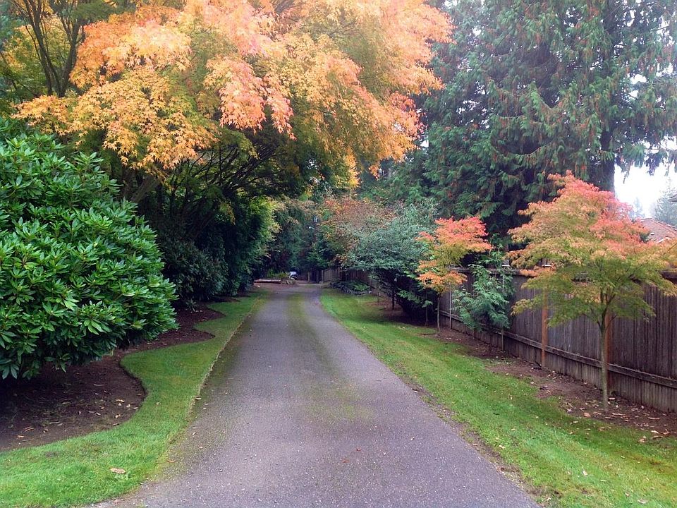 Private Road to House