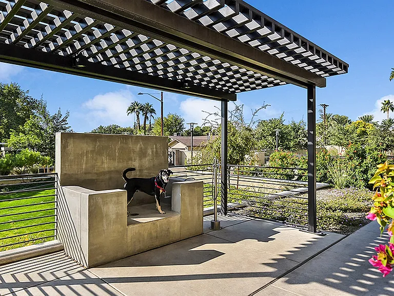 Dog wash station