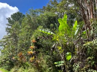 Road 9 LOT 507, Volcano, HI 96785