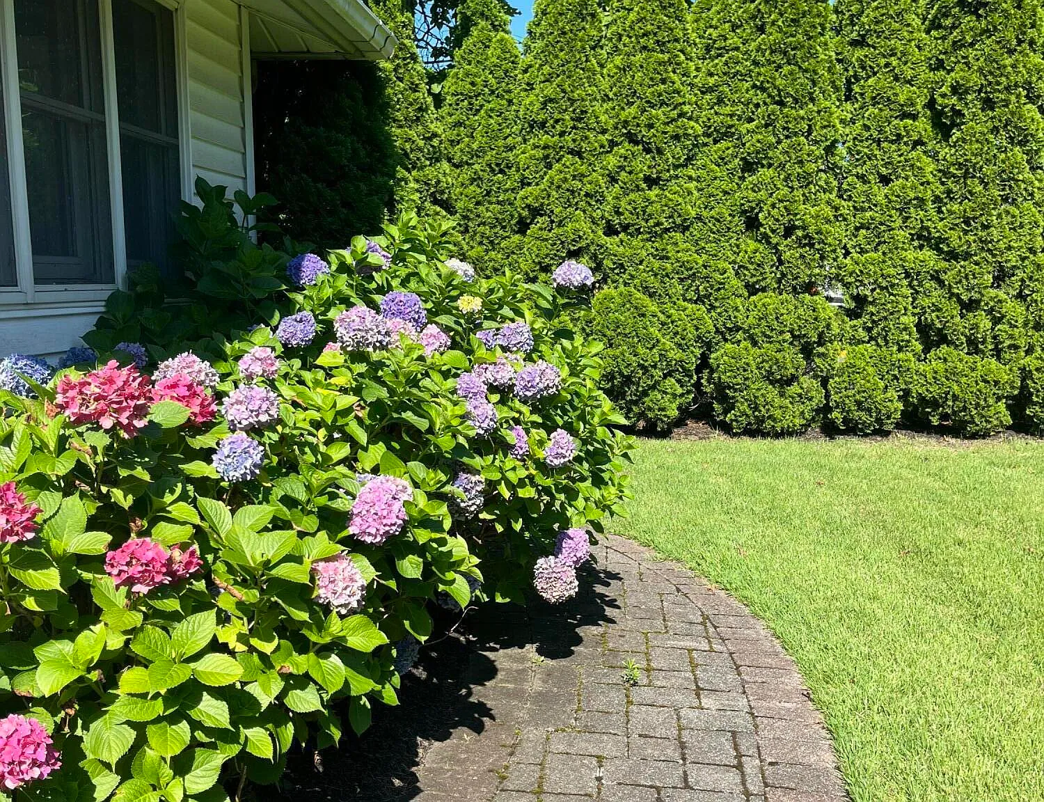 3 bed, 1.5 bath, 1969 sqft, $3,200 — Photo 4