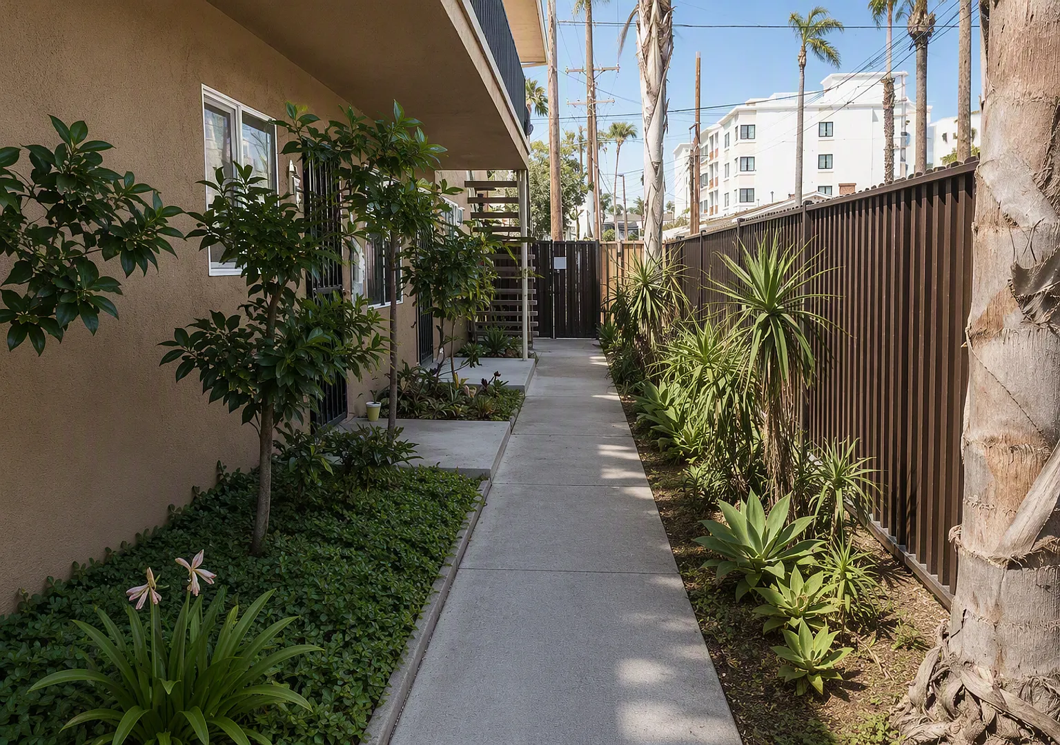 3119 — Photo 2