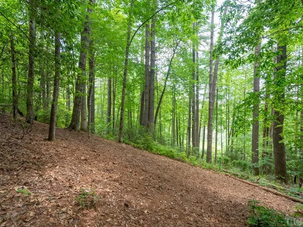 Lot 177 Lonesome Valley Road, Sapphire, NC 28774