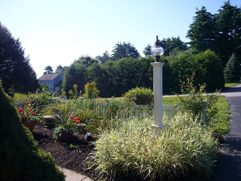 Professional Landscape