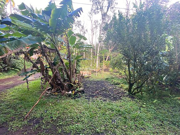3rd image of Lanai St Lot 703