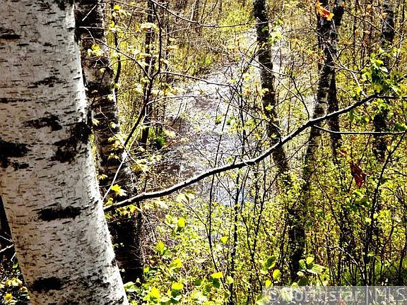 5th image of 46320 State Highway 48