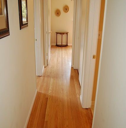 Gorgeous hardwood floors throughout