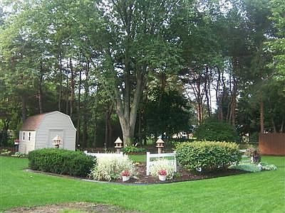 Shed