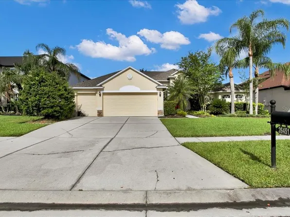 26451 Shoregrass Dr, Wesley Chapel, FL 33544