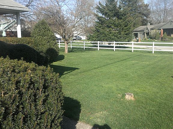 back yard