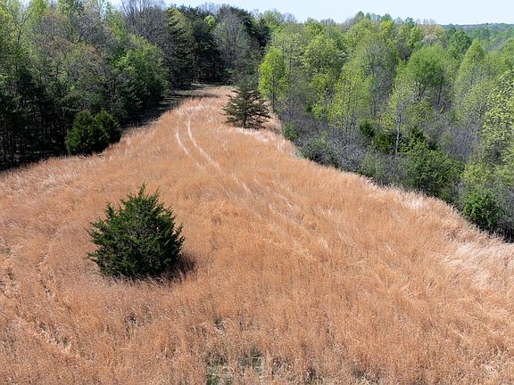 2nd image of 0 Dodson Branch Hwy