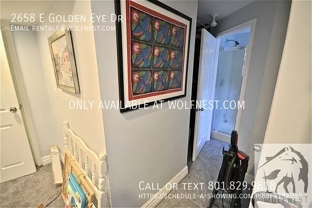 2658 E Golden Eye Dr — Photo 16