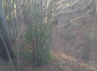 143 Ellis Ln, Arden, NC 28704