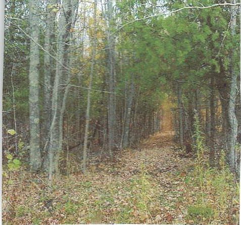 2nd image of Lot 1 H-33