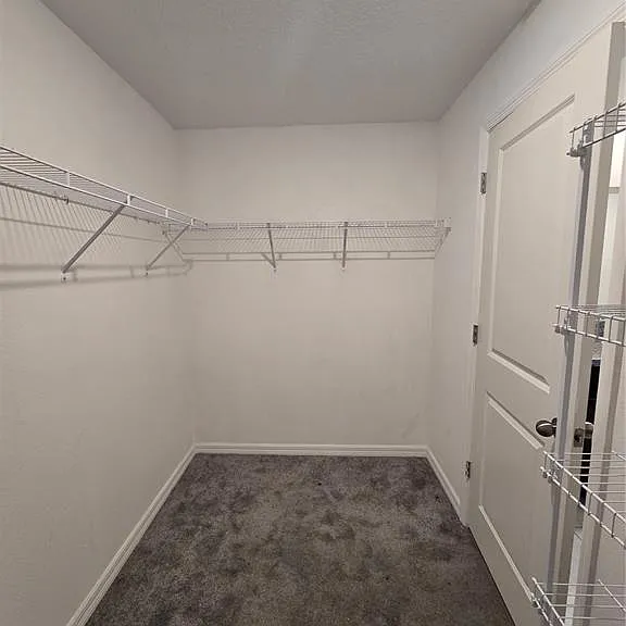 838 Olive Conch St — Photo 16