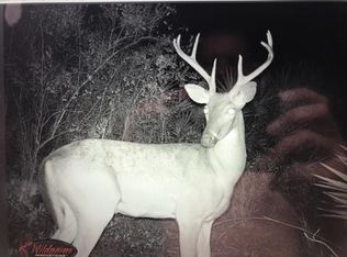 Rocky Creek Rd, Chiefland, FL 32626