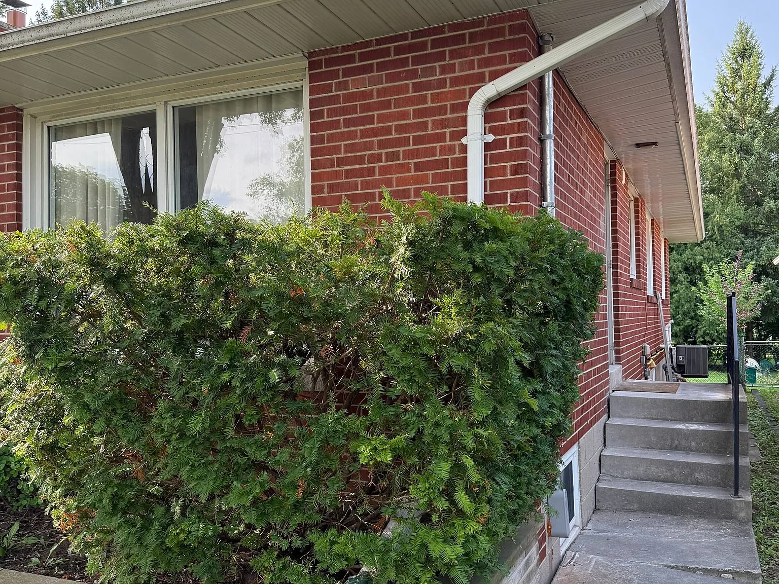 1 bed, $1,800 — Photo 2
