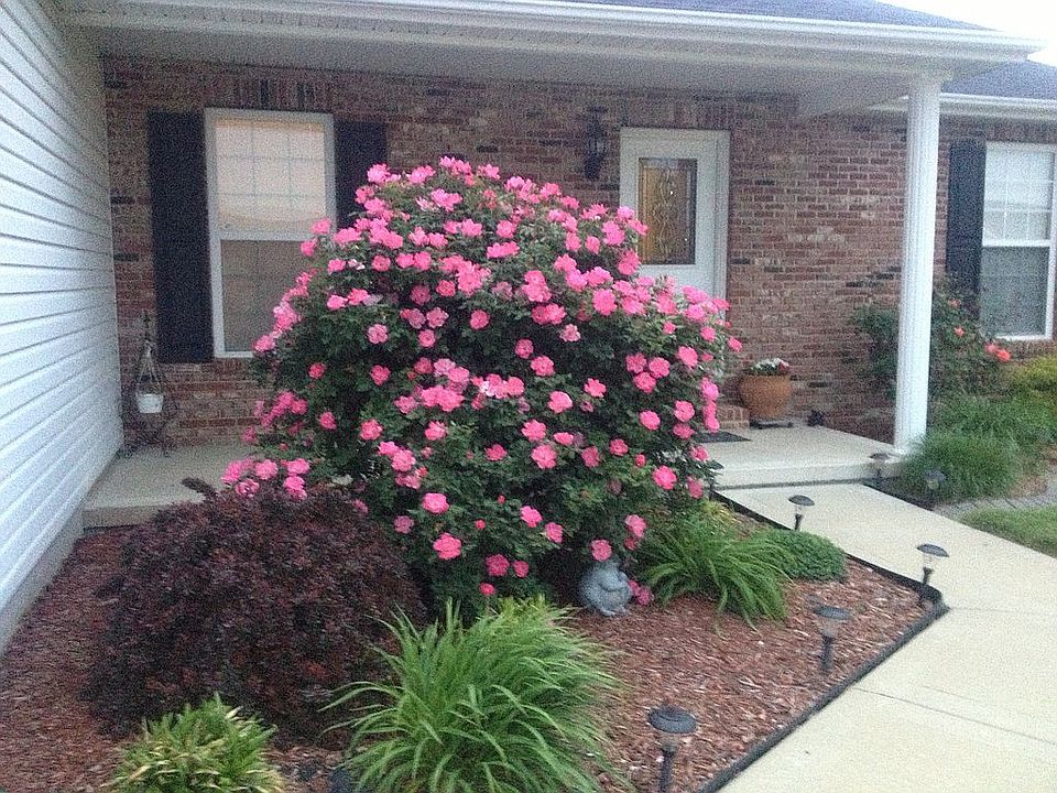 2nd image of 508 Joyce Ln