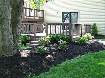 3rd image of 986 Sheryl Dr