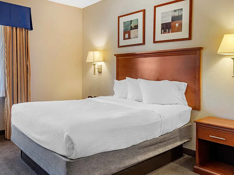 Studio Suite - 1 Queen Bed