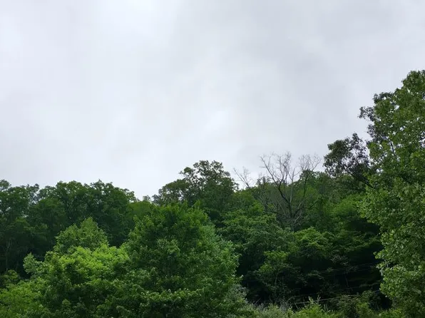 186 Davy Ln, Davy, WV 24828