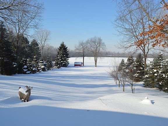 Beautiful winter's lake view