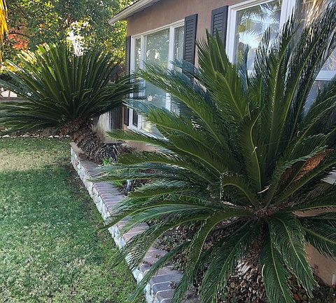 3rd image of 7778 Alta Cuesta Dr