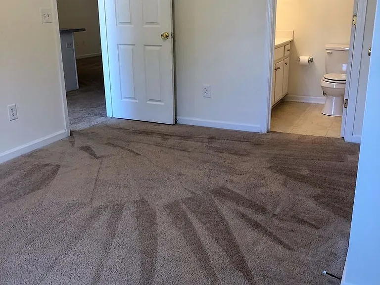 100 Water Oak Ln — Photo 13