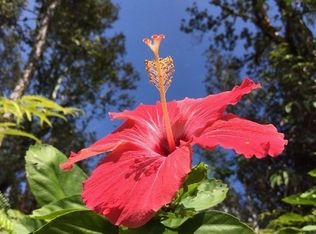 Road 4 Kea #IO, Mountain View, HI 96771