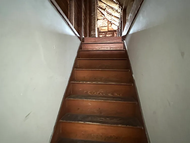 Maple Ave — Photo 7