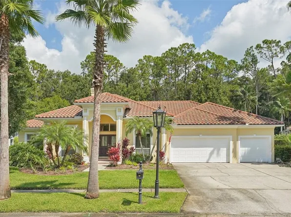 10110 Radcliffe Dr, Tampa, FL 33626