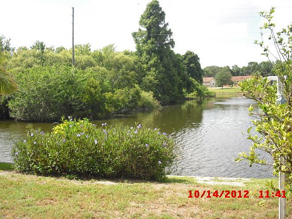 pond