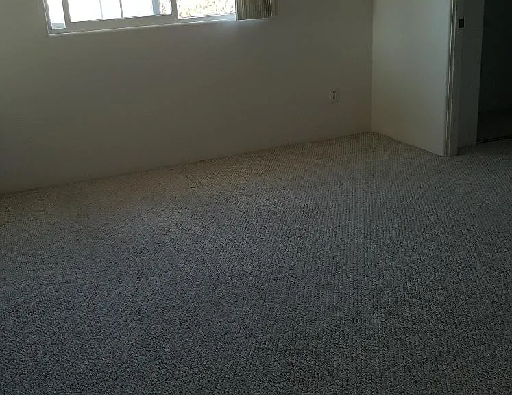 1830 Chalcedony St — Photo 16