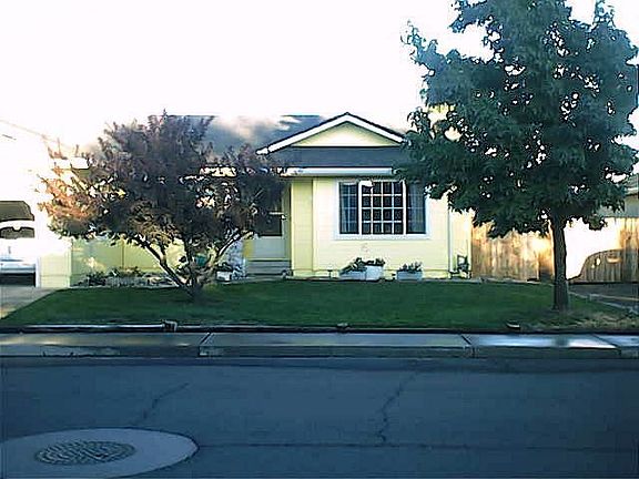 Front Shot Plumb Tree