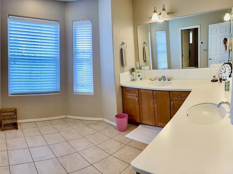 Master bath suite