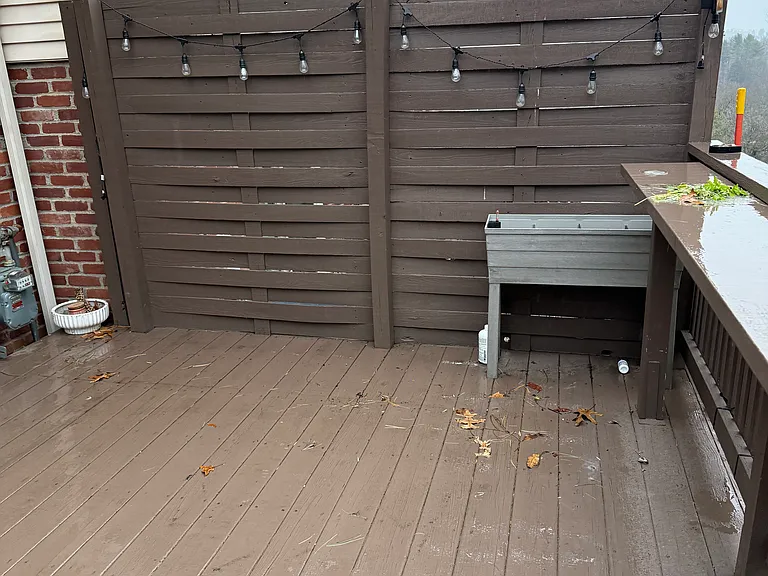 195 Scott Ln — Photo 20