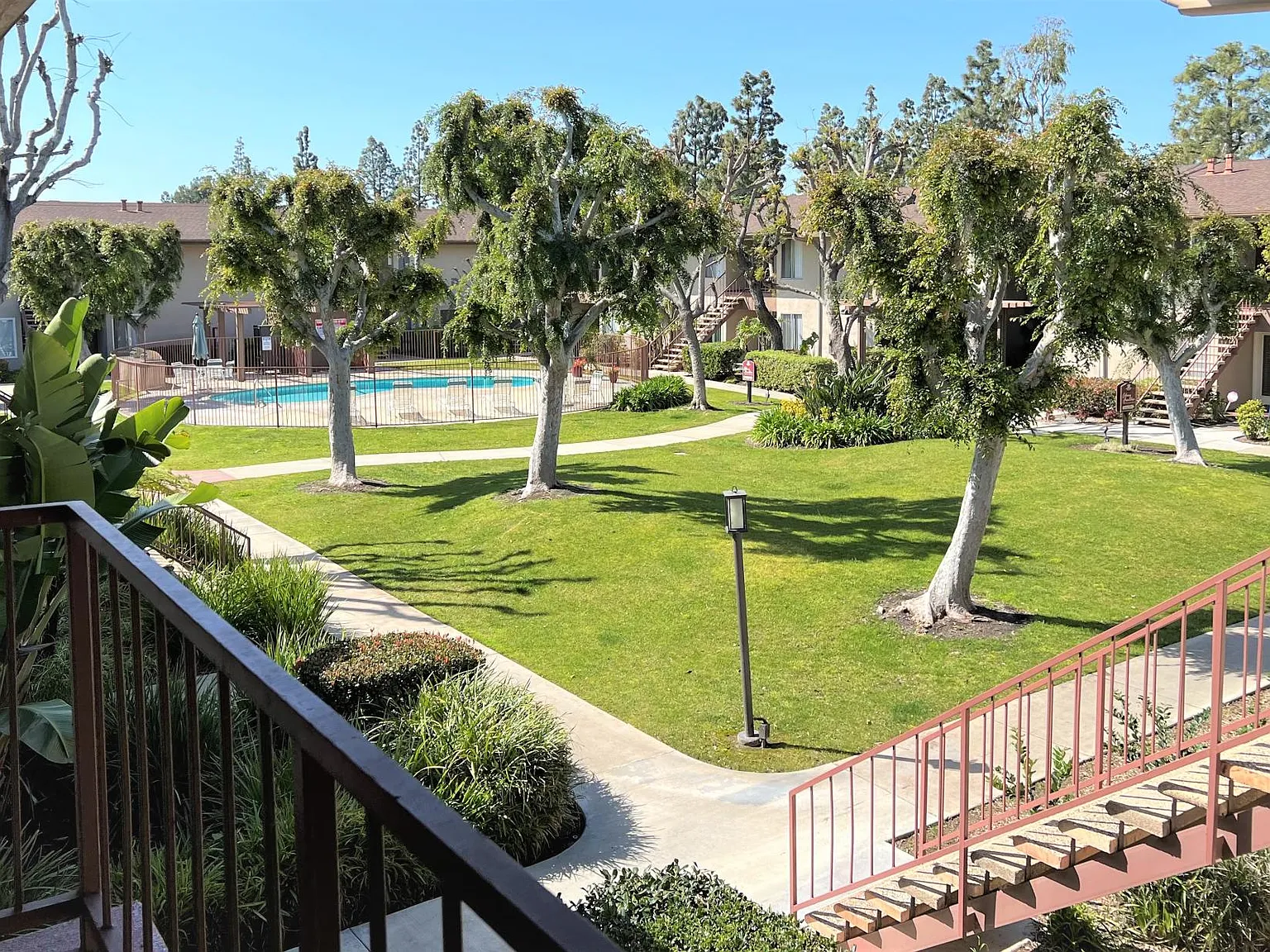 Colony Frontera — Photo 2