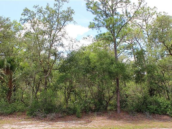 3rd image of LOT 20 Poinciana St