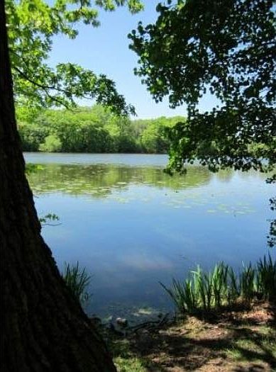 O'Leary Park