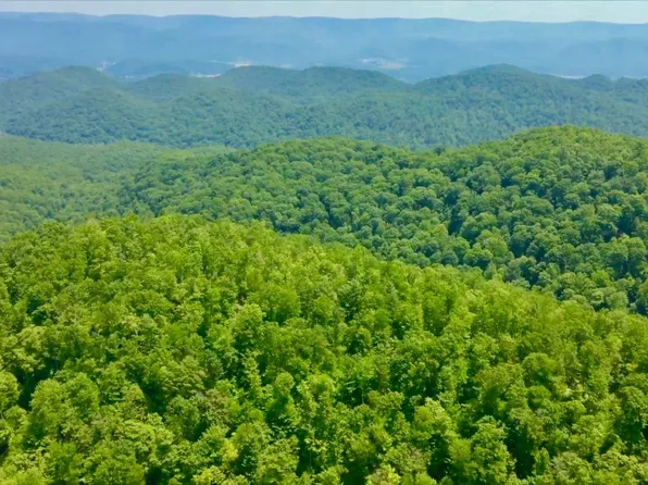 4967 Rich Mountain Rd, Mabie, WV 26278