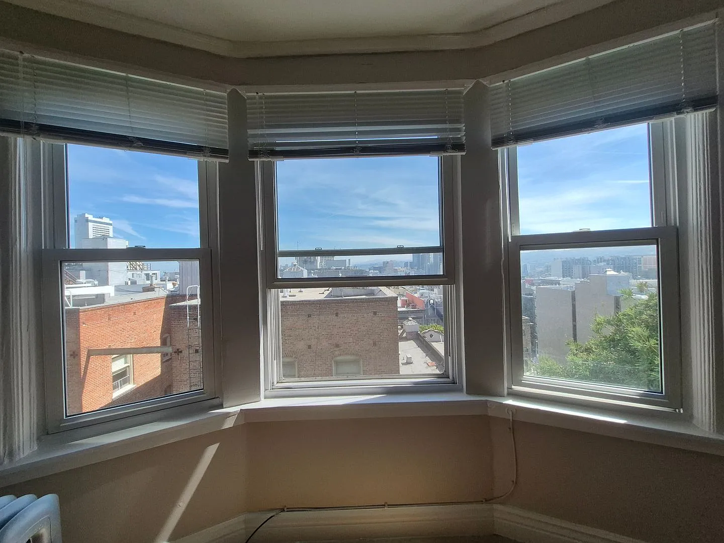 1167 Bush Street — Photo 3