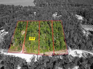 45 SW Kentucky St LOT 45, Fort White, FL 32038